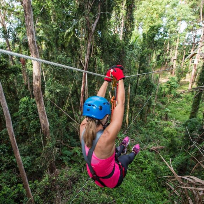 TreeTop Challenge Sunshine Coast High Ropes and Zipline Adventure Park