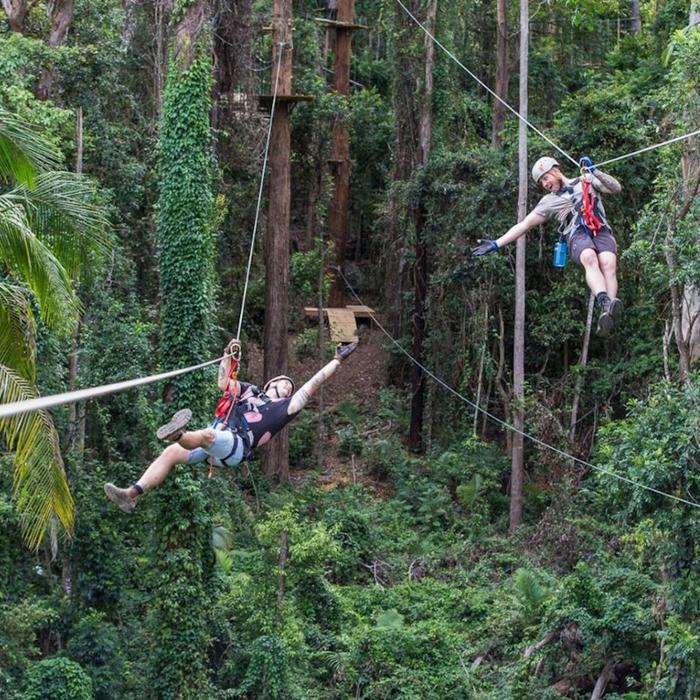 TreeTop Challenge Sunshine Coast High Ropes and Zipline Adventure Park