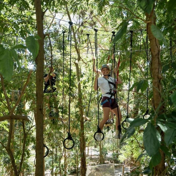 TreeTop Challenge Currumbin High Ropes and Zipline Adventure Park