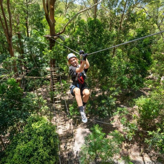 TreeTop Challenge Currumbin High Ropes and Zipline Adventure Park