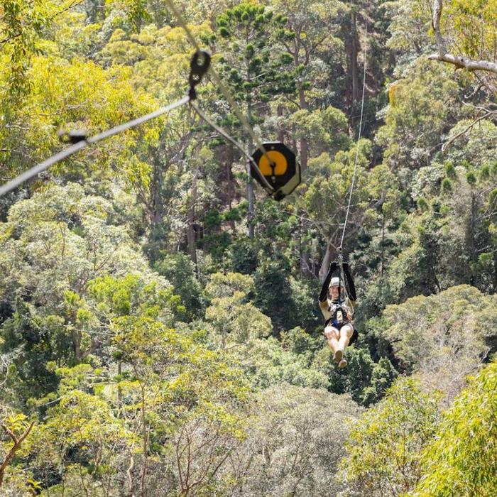 TreeTop Challenge Canyon Flyer - Guided Zipline Tour Tamborine