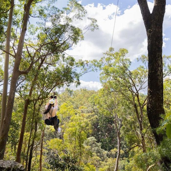 TreeTop Challenge Canyon Flyer - Guided Zipline Tour Tamborine