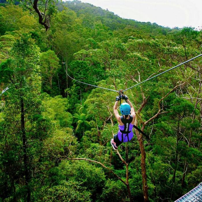 TreeTop Challenge Canyon Flyer - Guided Zipline Tour Tamborine