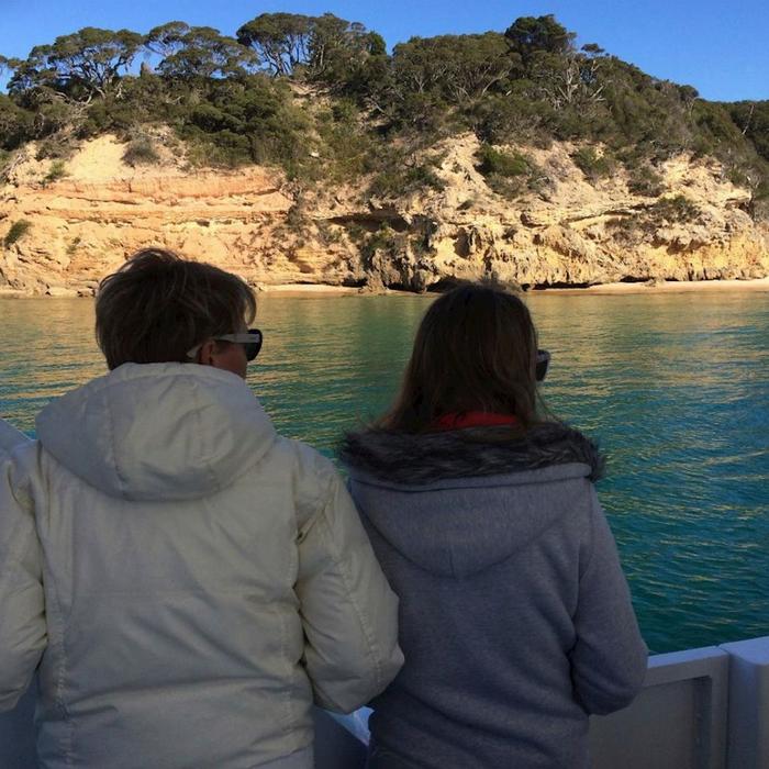 Moonraker Dolphin Swims 3 Hour Dolphin and Seal Sightsee (Family)