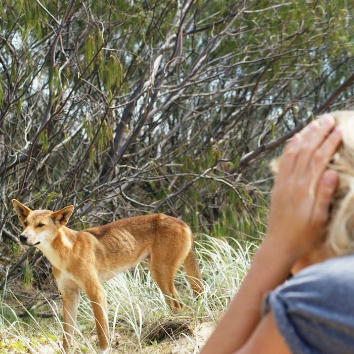 Via Travel Sydney to Daintree Best of East Coast Australia Comfort Tour - Private Double/Twin Ensuite