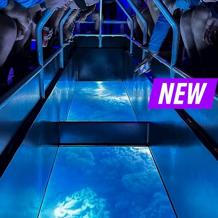 Pioneer Adventures Glass Bottom Boat Scenic Night Tour (Family 2A/2C)