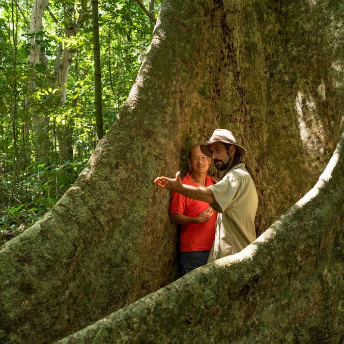 Far North Escapes Private 1 Day Private Daintree Tour - Additional Person Price