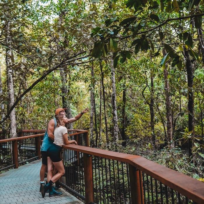 Far North Escapes Private 1 Day Private Daintree Tour - Additional Person Price