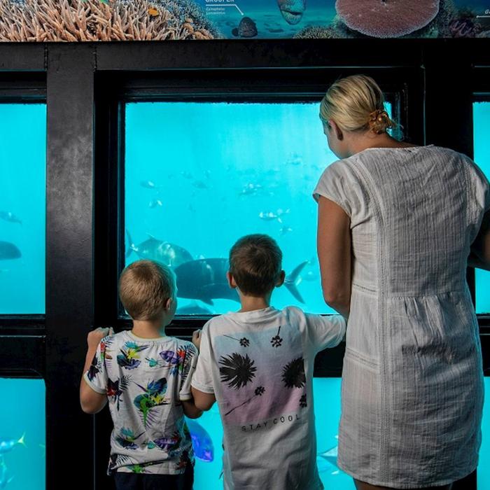 Cruise Whitsundays Great Barrier Reef Adventures (departing Port of Airlie) (Family 2A/2C)