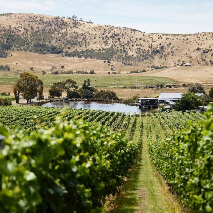 The Wine Hopper The Coal River Hop On Hop Off