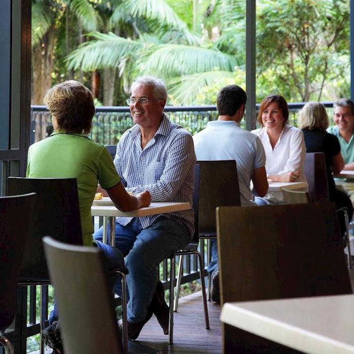 Pineapple Tours Hop on Hop off Bus with Rainforest Skywalk + Glow Worm Caves - From Brisbane