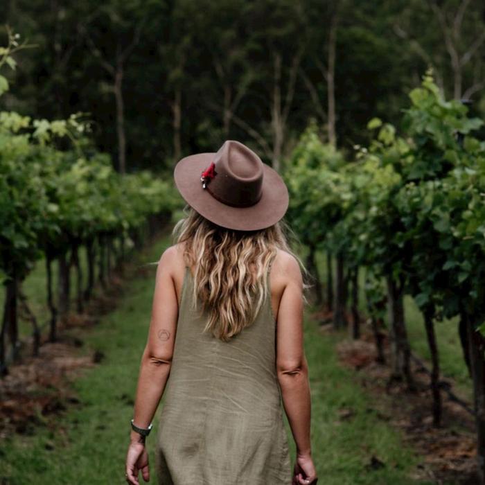 Pineapple Tours Hop on Hop off Winery adventure - Tamborine Mountain - Brisbane