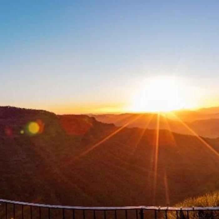 Pineapple Tours Hop on Hop off Brewery adventure - Tamborine Mountain - Gold Coast