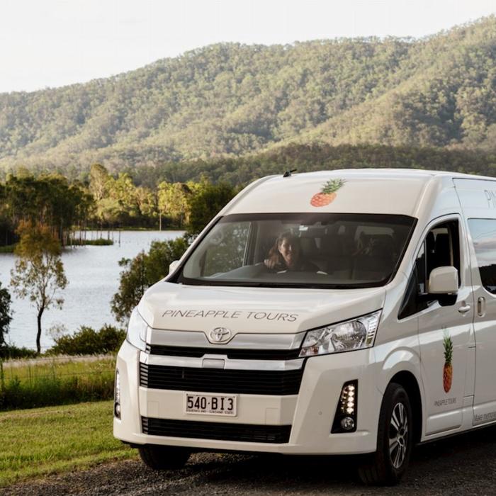 Pineapple Tours Hop on Hop off Day Pass + Glow Worm Tour - Brisbane Pickup