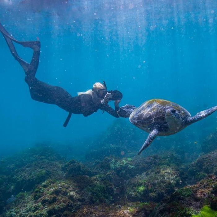 Cooly Eco Adventures Swim with Turtles