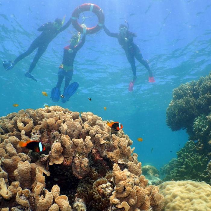 Ocean Spirit Cruises Ocean Spirit Michaelmas Cay (+ 1 Marine Biologist Guided Snorkel Tour)