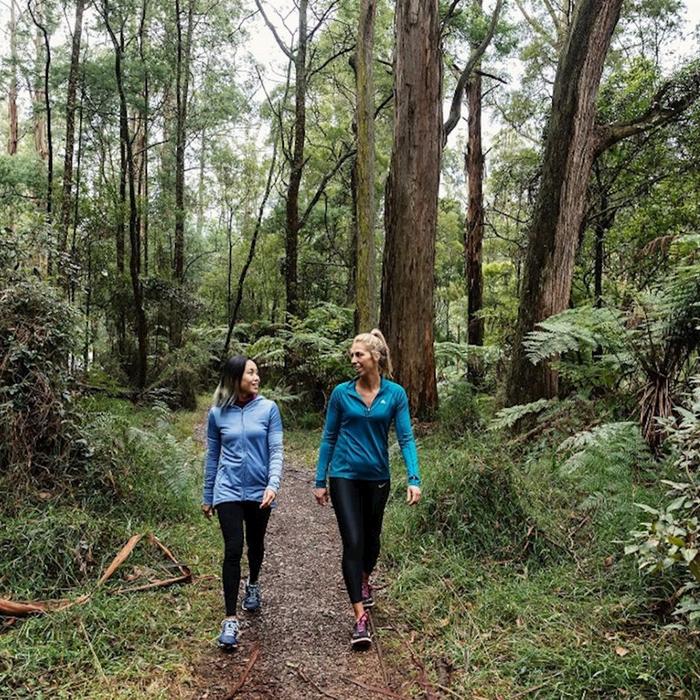 Explore Australia Puffing Billy Rainforest Tour