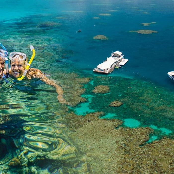 Great Adventures Green Island + Moore Reef Pontoon Combo
