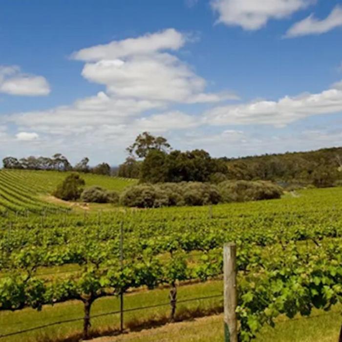Intrepid Best of Perth, Margaret River and Rottnest Island