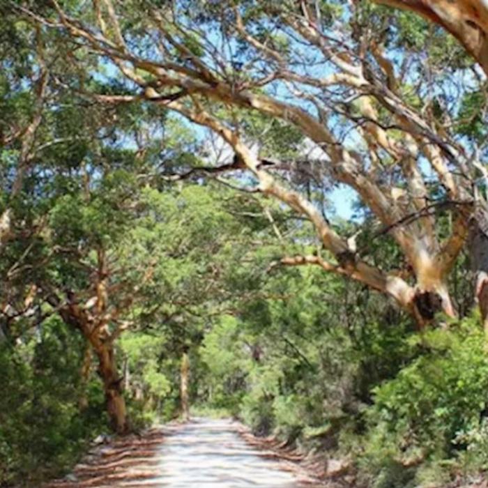 Intrepid Best of Perth, Margaret River and Rottnest Island