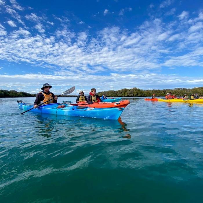 Adventure Kayaking SA Dolphin Sanctuary Mangroves Tour Kayak Tour