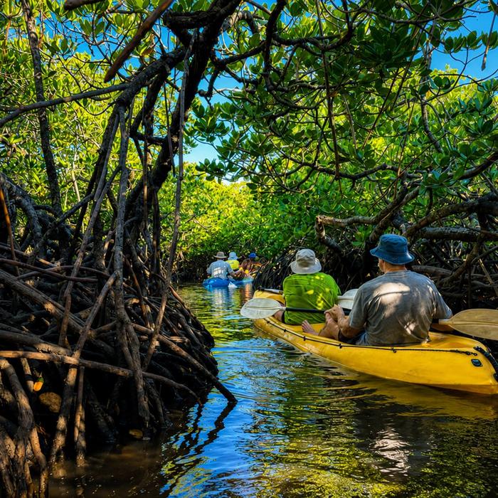 Epic Ocean Adventures Noosa Heads: Hidden Waterways & Wildlife Kayak Tour (Self Guided)