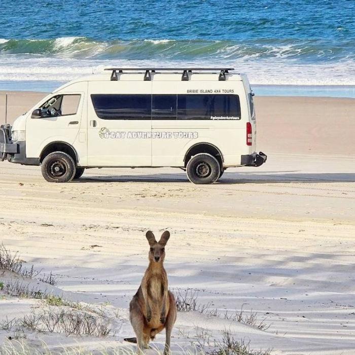G'day Adventure Tours Bribie Island 4WD Beach & Bunker tour