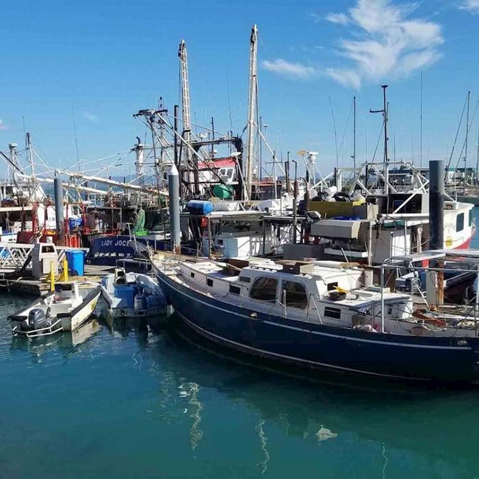 Airlie Adventure Tours Beautiful Bowen Beaches and Seafood Tour
