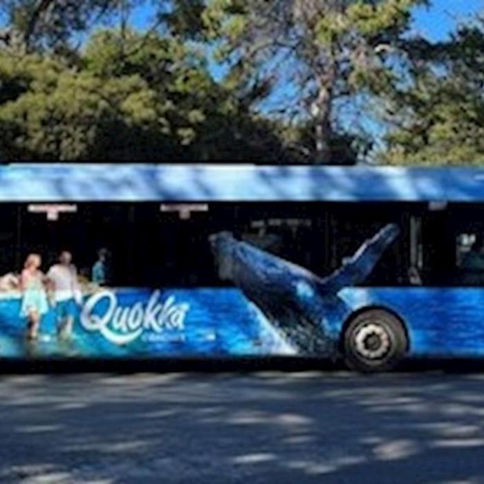 Australian Pinnacle Tours ROTTNEST - Island Explorer Hop On Hop Off - (Ferry fare not included)