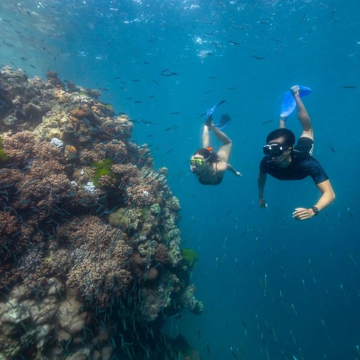 Explore Group Australia Full Day Snorkel the Great Barrier Reef - Hamilton Island