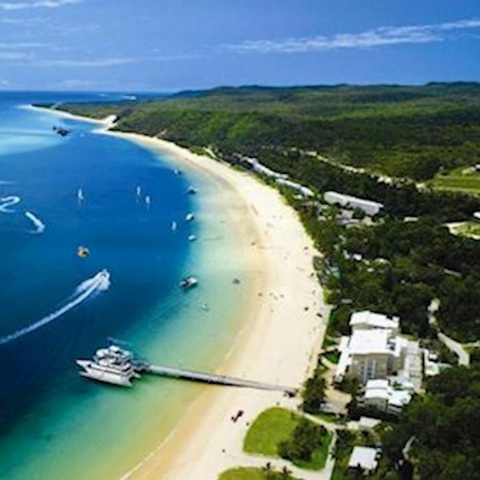 Tangalooma Island Resort One Way Bus Transfer: Holt St Wharf >Brisbane Hotels (meets 4pm and 7pm boat departures from Tangalooma)