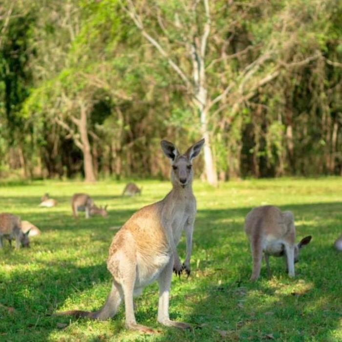 Southern Cross Tours Gold Coast Day Tour ex Brisbane