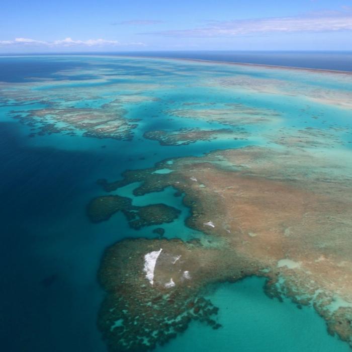 Zoom Helicopters 45 Minute Reef & Rainforest Scenic