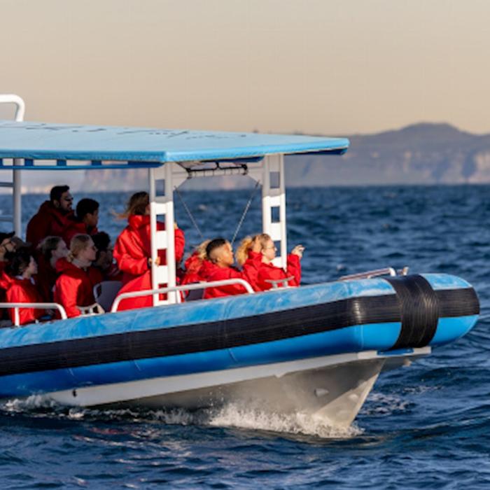 COASTXP Whale Encounter Tour