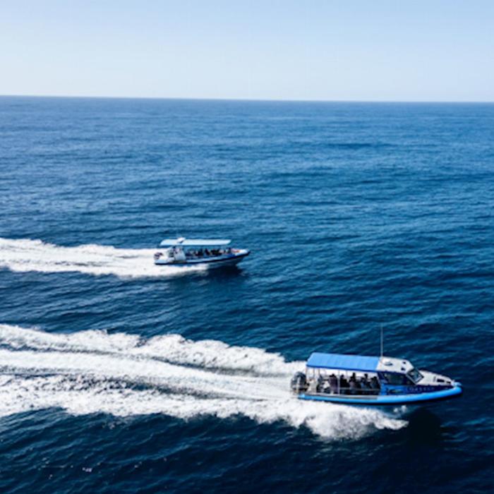 COASTXP Whale Encounter Tour