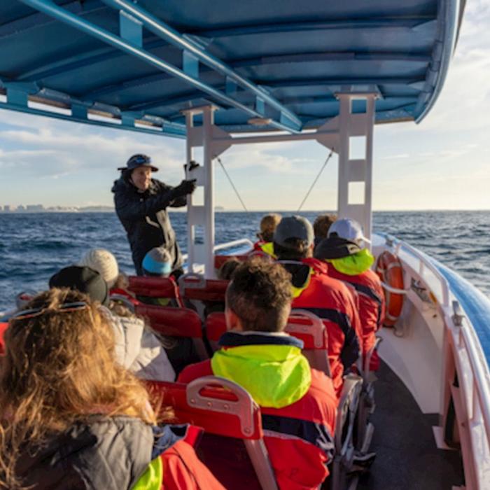 COASTXP Whale Encounter Tour