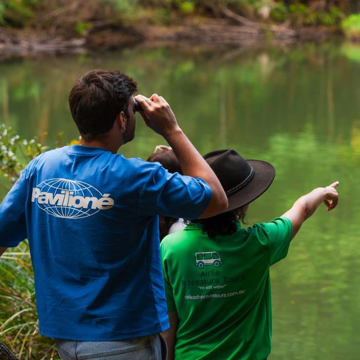Airlie Adventure Tours Eungella Wild Platypus Encounter Full Day Eco Tour