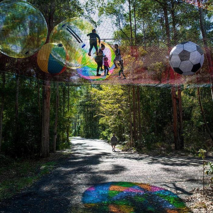 Treetops Adventure Central Coast NetWorld