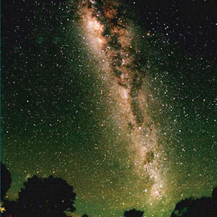 JPT Tours Natural Bridge Glow Worm Night Tour departing Gold Coast