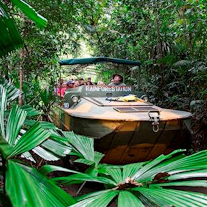 Tropic Wings Grand Kuranda Experience Reverse Tour Ex Cairns - SALT