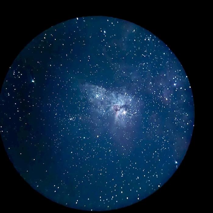 Aussie Explorations Stargazing at Tamborine Mountain