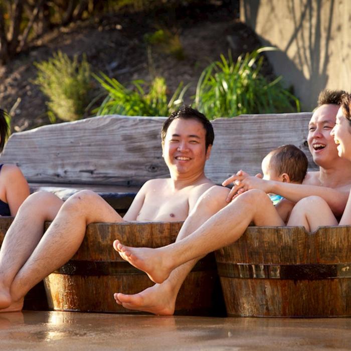 Wildlife Tours Australia Mornington Peninsula Hot Springs Spa Day Tour