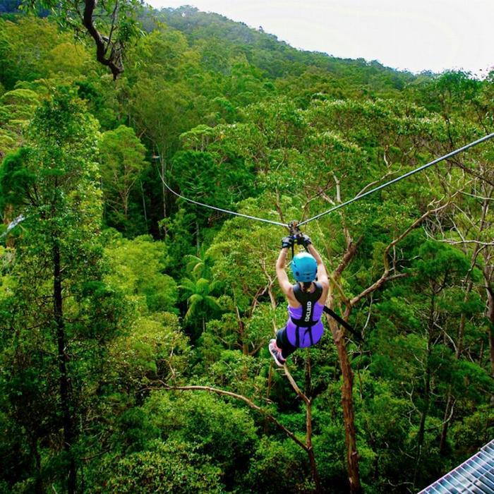 TreeTop Challenge - Tamborine - Adrenaline Pass