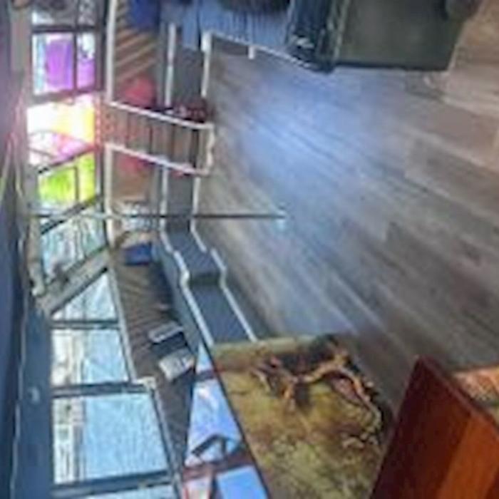 Cairns Party Boats Friday Sunset Sessions Cruise + Pub Crawl DEAL