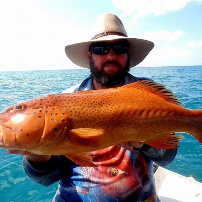 Offshore Boats Private Full Day Reef & Sport Fishing Charter - Up to 6 guests