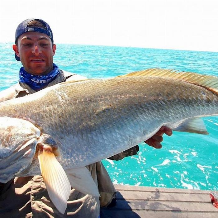Offshore Boats Shared Full Day Reef & Sport Fishing