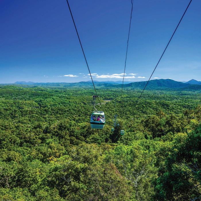 Skyrail Rainforest Cableway Family of 2Adults & 2Children (4-14yrs) - Return Skyrail Experience (no transfers)