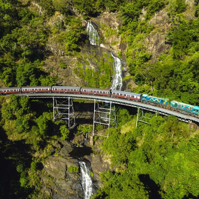 Skyrail Rainforest Cableway Family of 2Adults & 2Children (4-14yrs) - Skyrail and Train with Bus Pickup from Cairns City - CALL TO BOOK