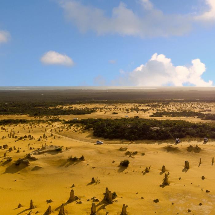 Wildlife Tours Australia Pinnacles Desert Lobster & Yanchep Tour