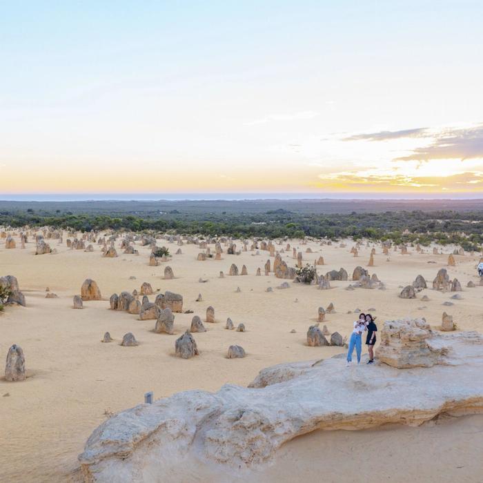 Wildlife Tours Australia Pinnacles Desert Lobster & Yanchep Tour
